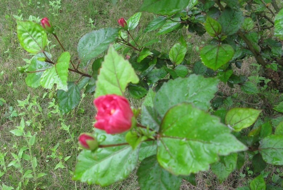79.jpg