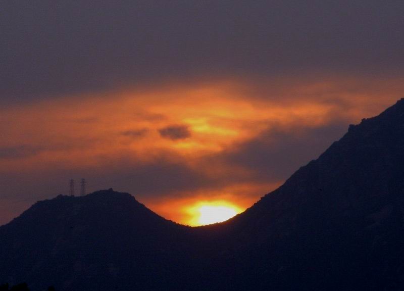 IMG_2913.jpg