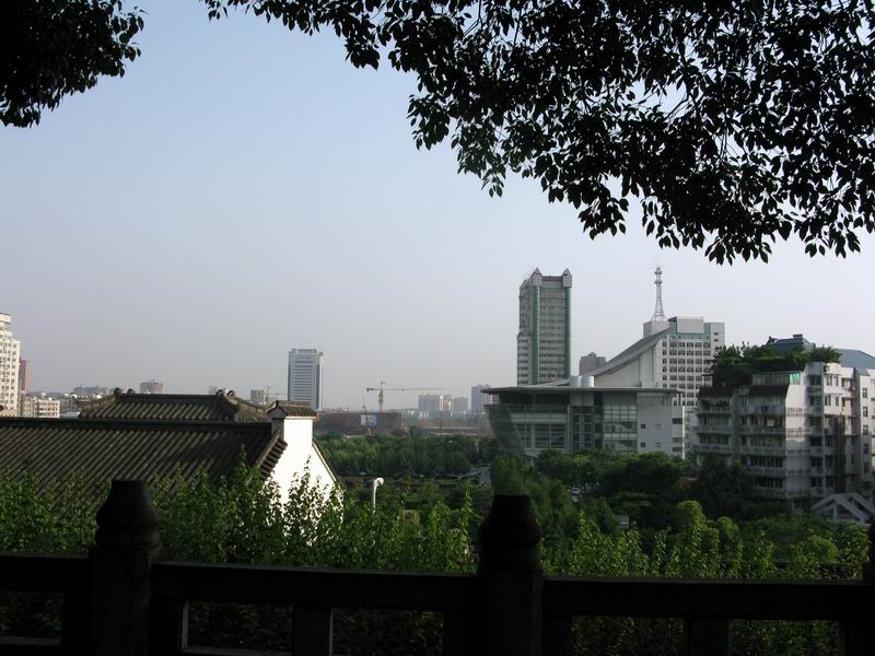 IMG_5450.JPG