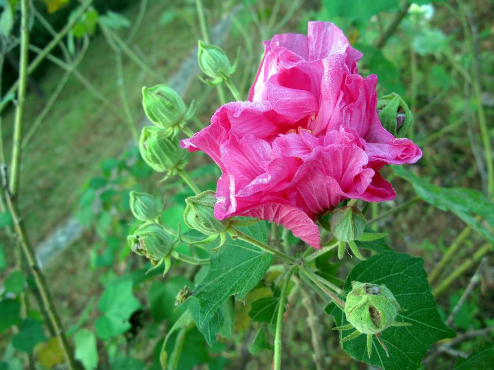 IMG_0638.JPG