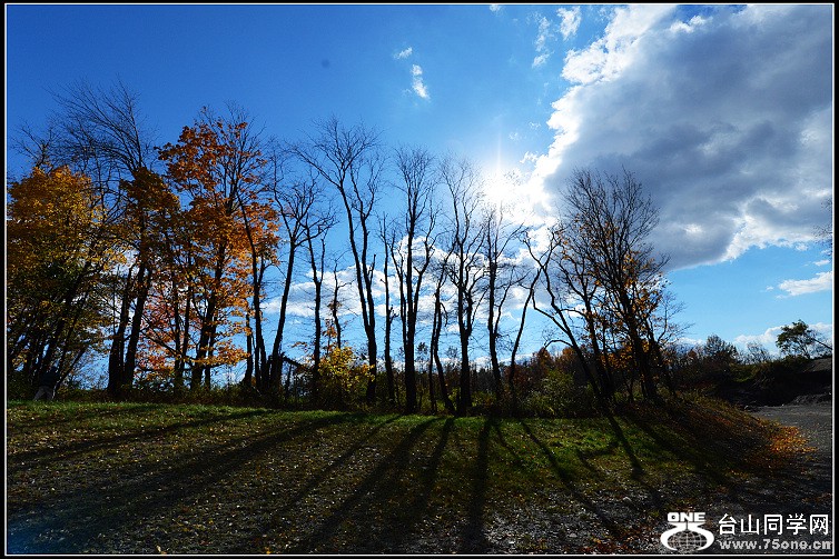 DSC_4205.JPG