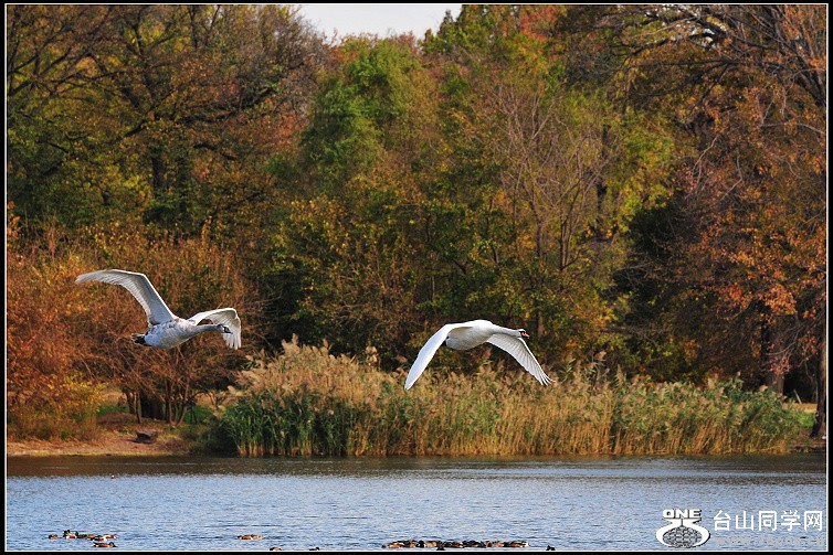 DSC_9195.JPG