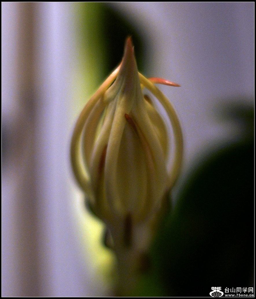 DSC_2762.jpg