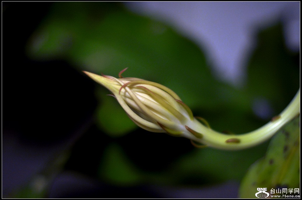 DSC_2770.jpg