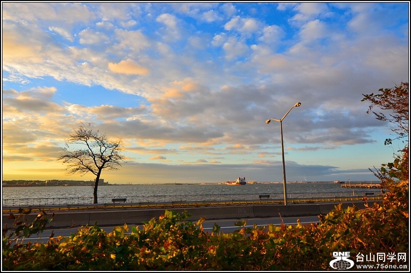 DSC_8560-2.jpg