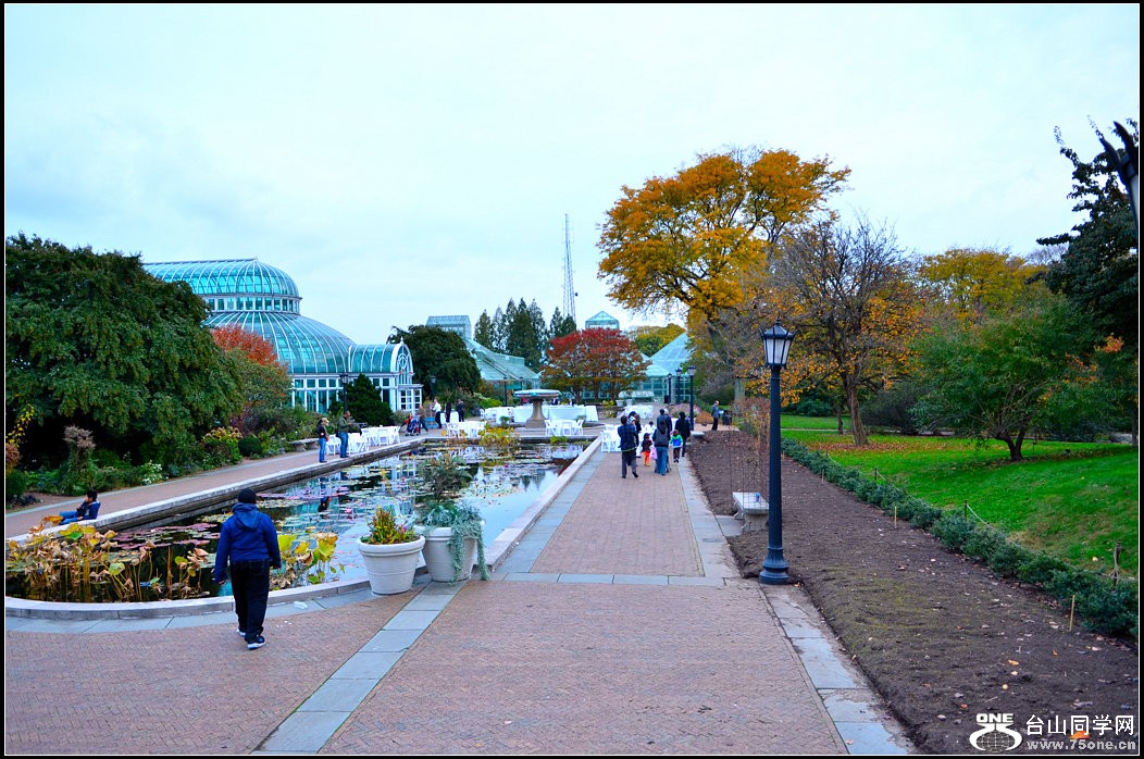 DSC_8318-2.jpg