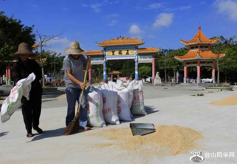 ɽʯո2012.11. 244.jpg