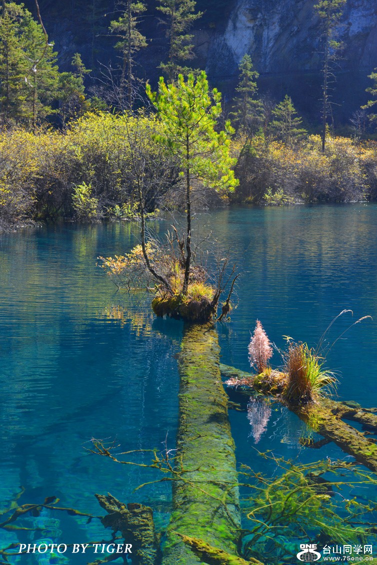 DSC_1948A .jpg