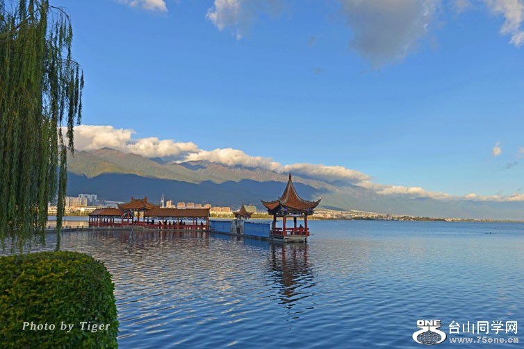 DSC_2837a.jpg