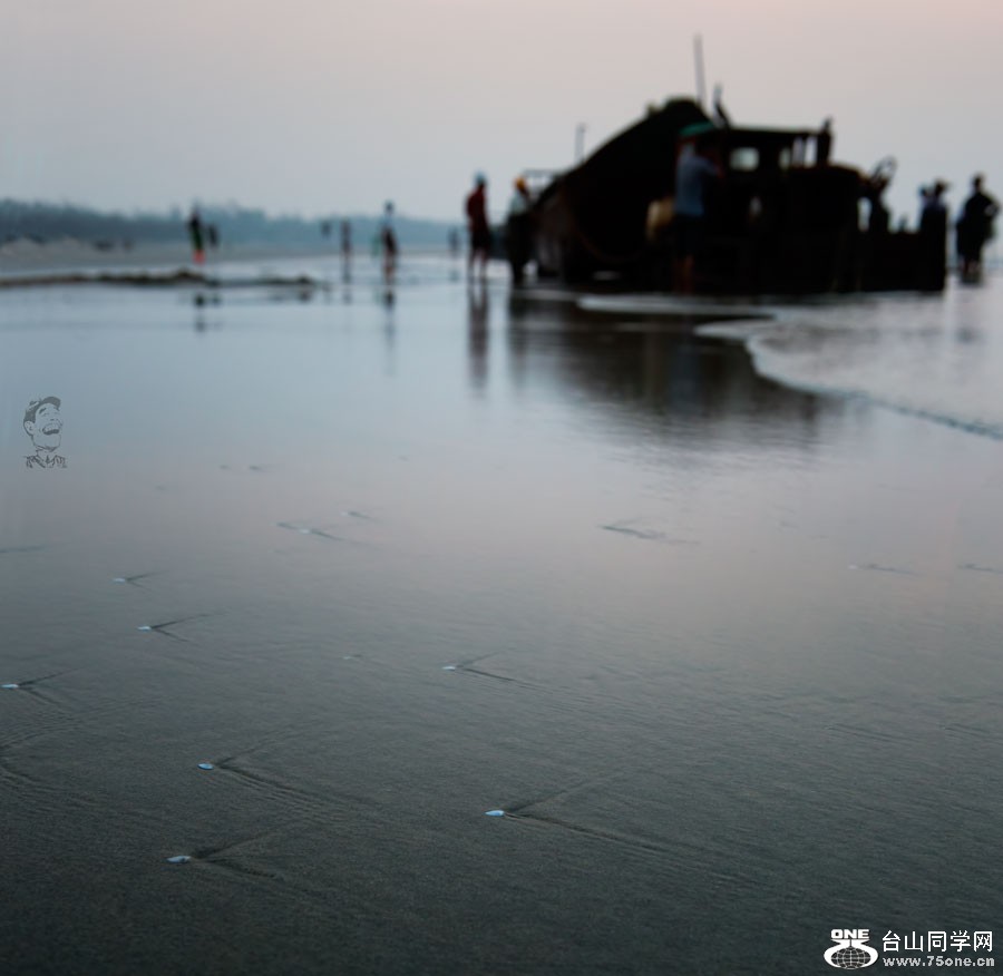 DSC_0124hlc.jpg