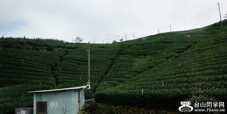 DSC_0204.jpg