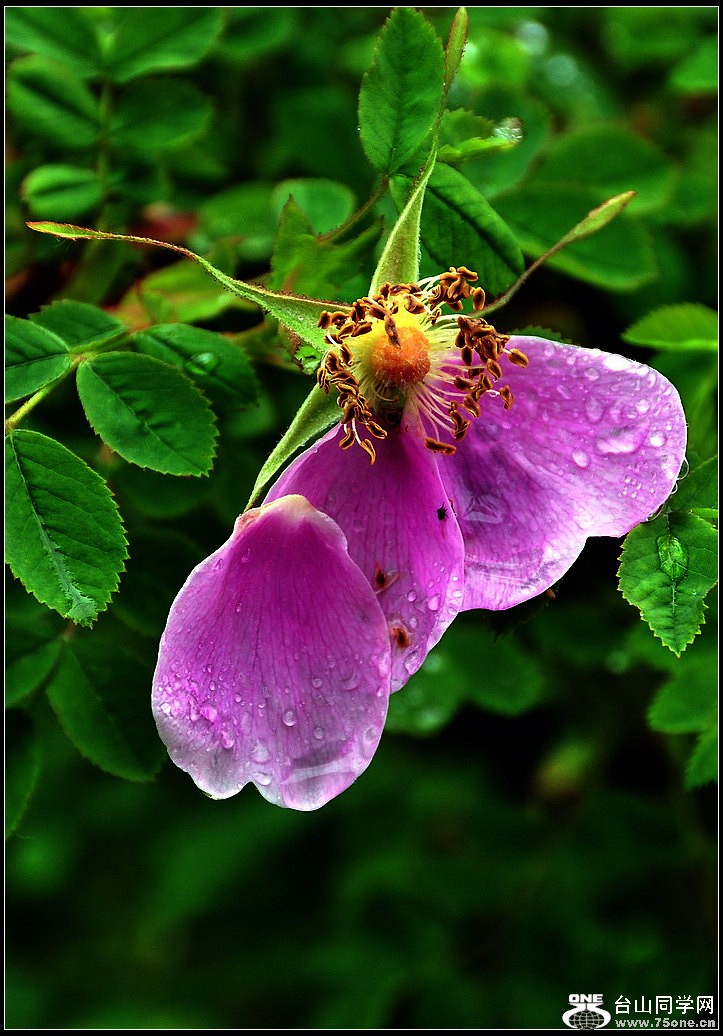 DSC_2987.jpg