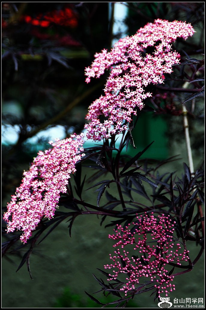 DSC_3551.jpg