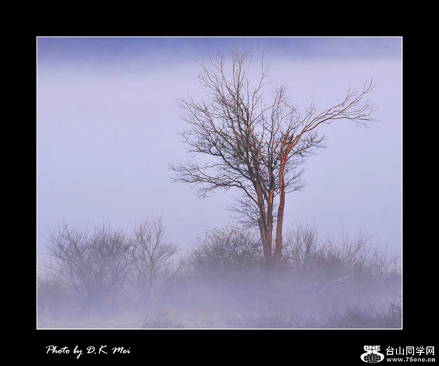 _DSC3902C.jpg