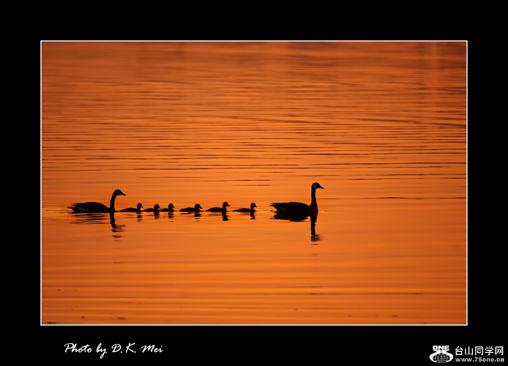 DSC_0210C.jpg