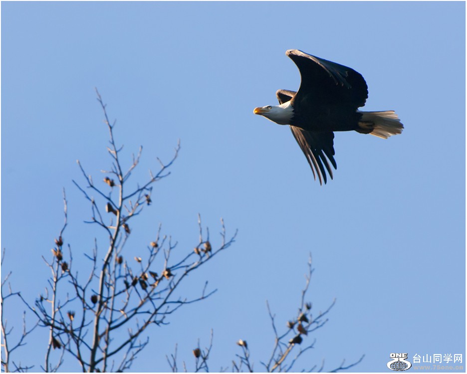 DSC_0020C.jpg
