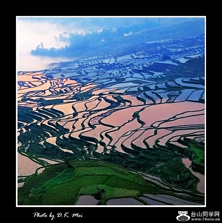 Field Patterns.jpg