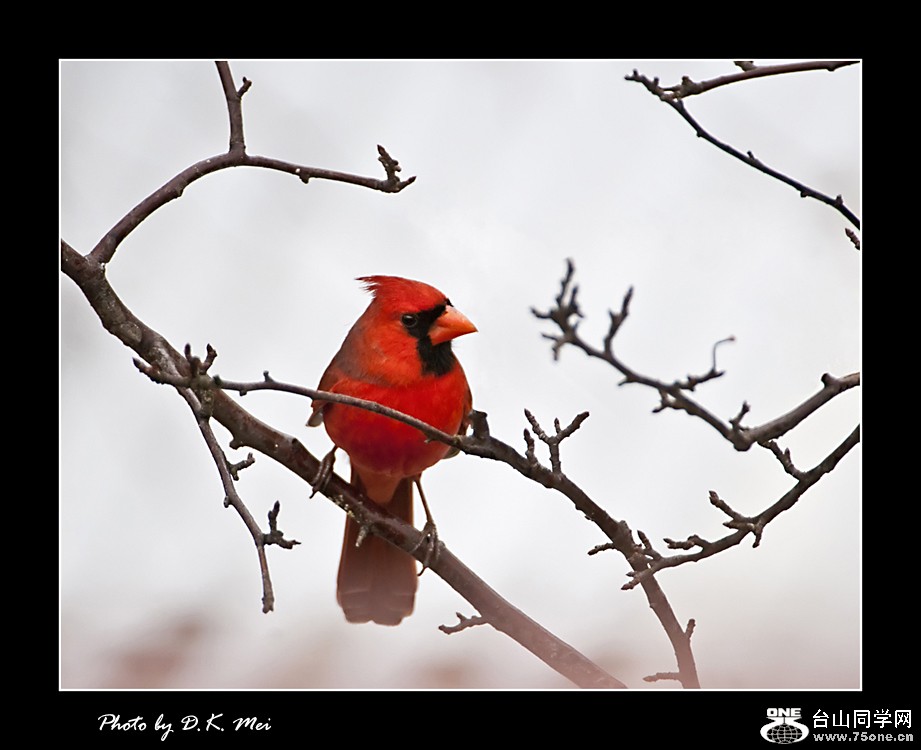 DSC_0091C.jpg