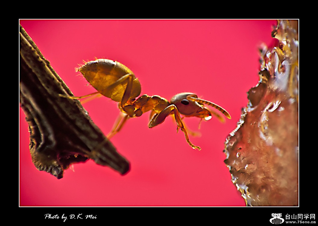 DSC_0118C.jpg