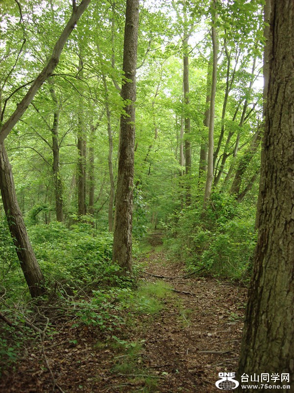 DSC01697_.jpg