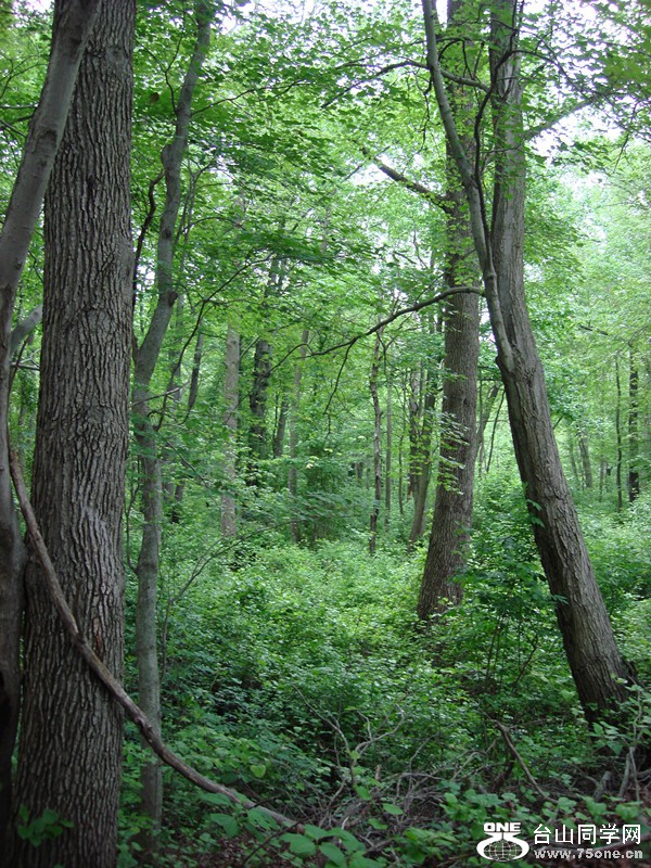DSC01698_.jpg