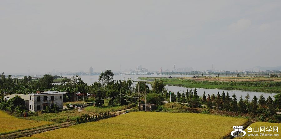 IMG_9521.jpg