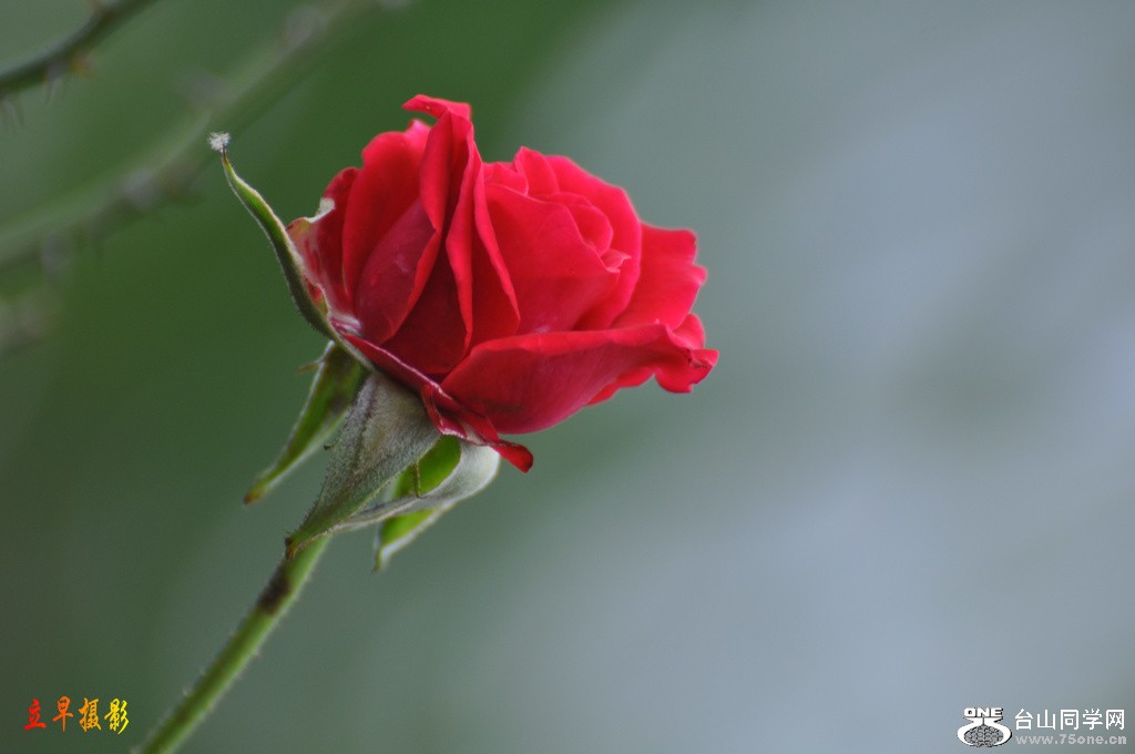 DSC_4331.JPG
