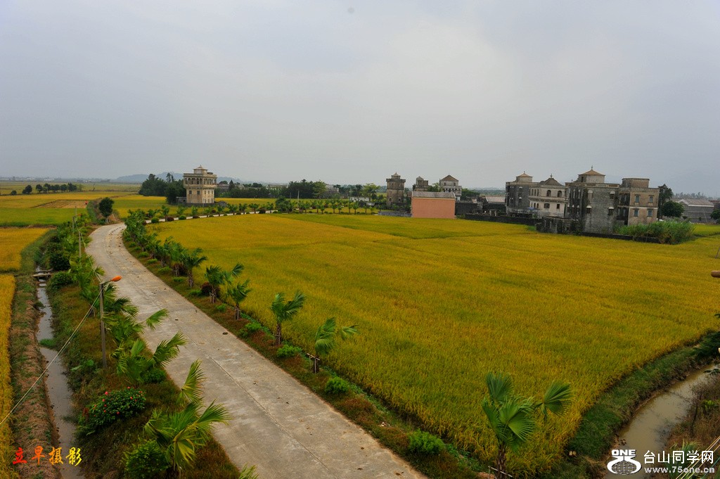 DSC_5743.JPG