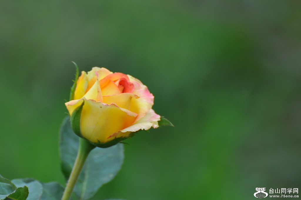 DSC_3955.JPG