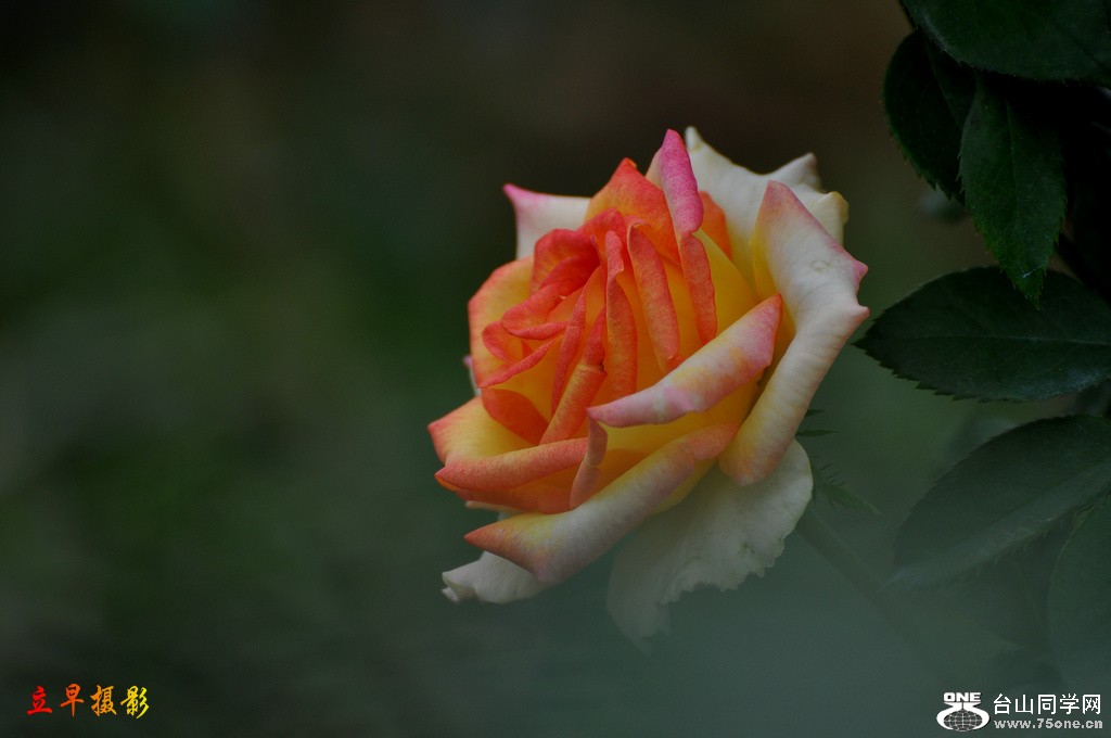 DSC_3984.JPG
