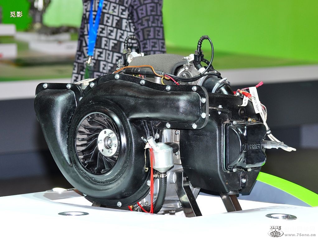 DSC_5538a.JPG