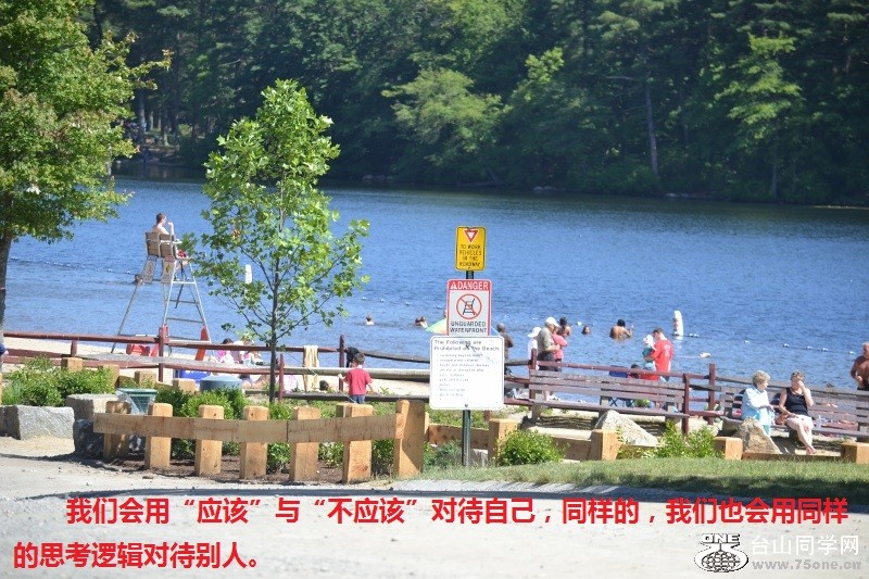 120 (800x533).jpg