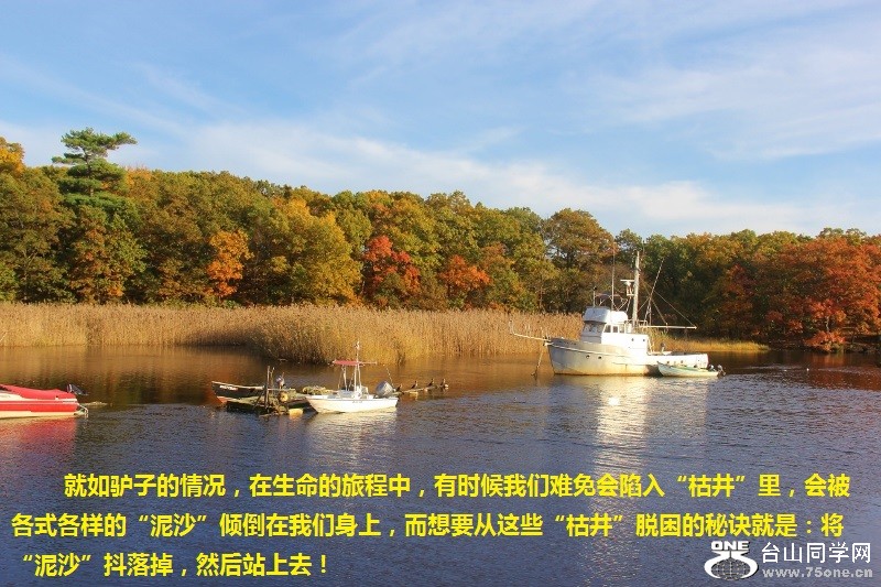 072 (800x533).jpg