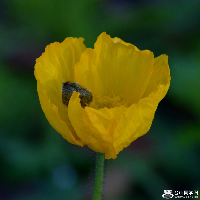 DSC_0098_7.jpg