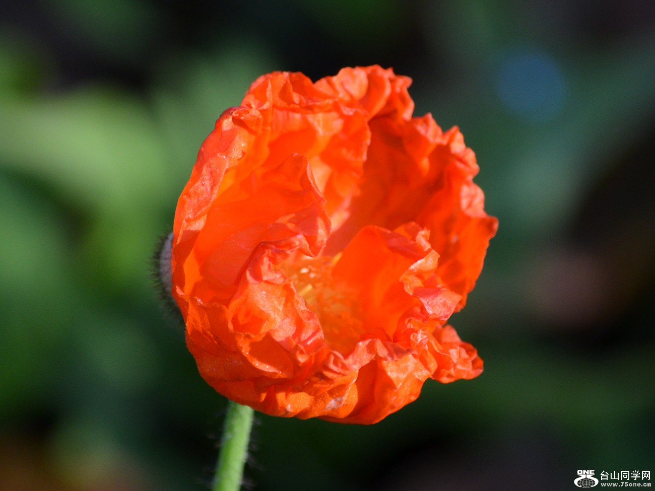 DSC_0089_26.jpg