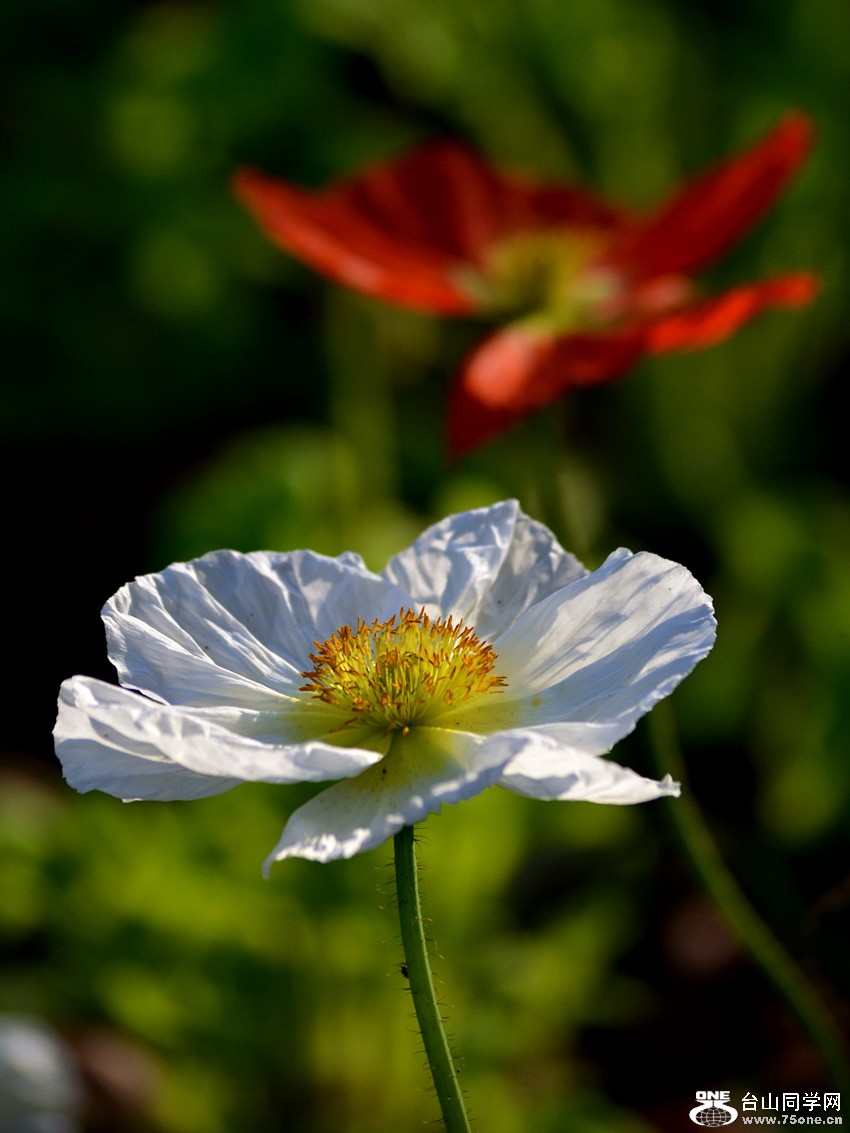 DSC_0084_2.jpg