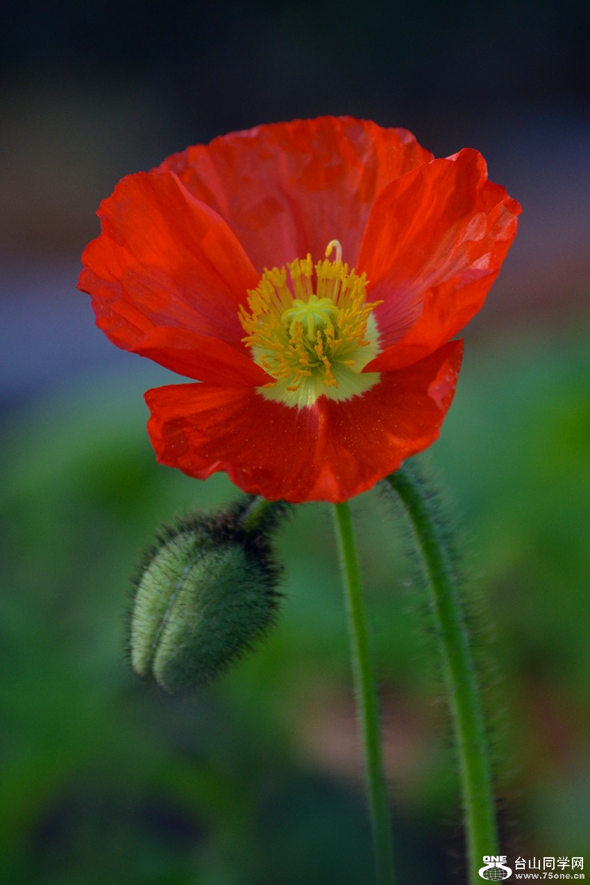 DSC_0179_16.jpg