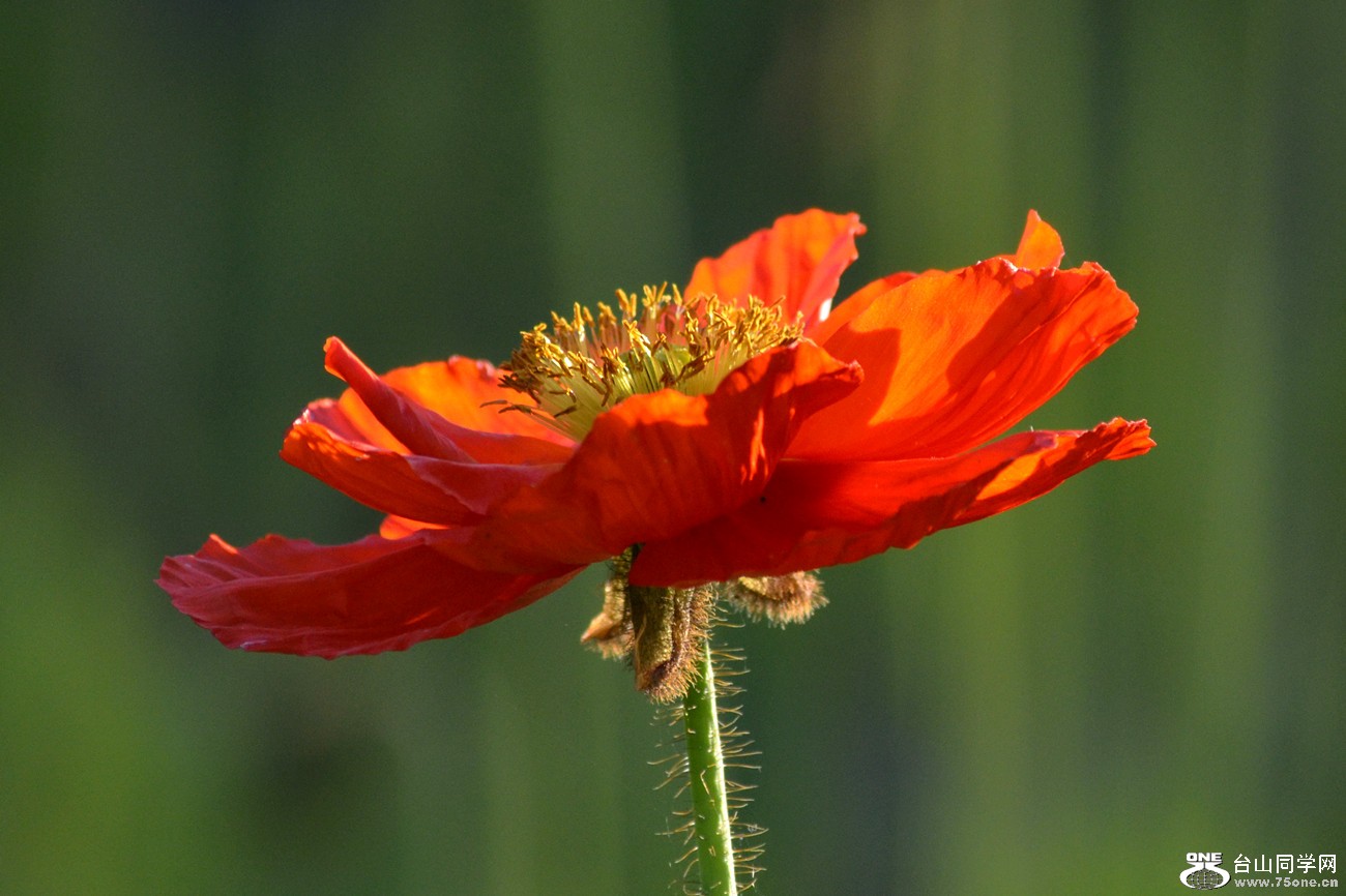 DSC_0287_36.jpg