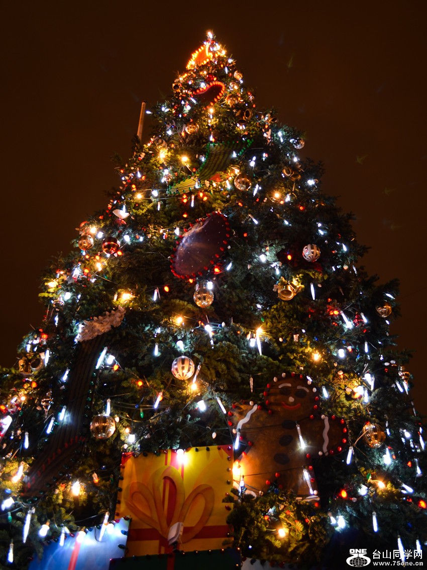 DSC_0103_3.jpg