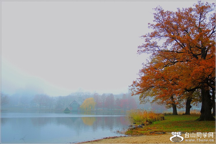 DSCN1431.jpg