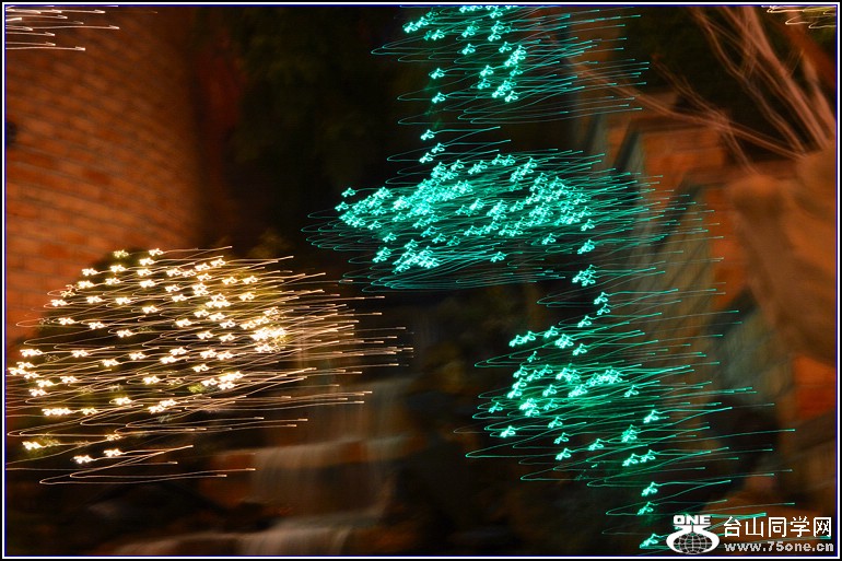 DSC_0555.jpg