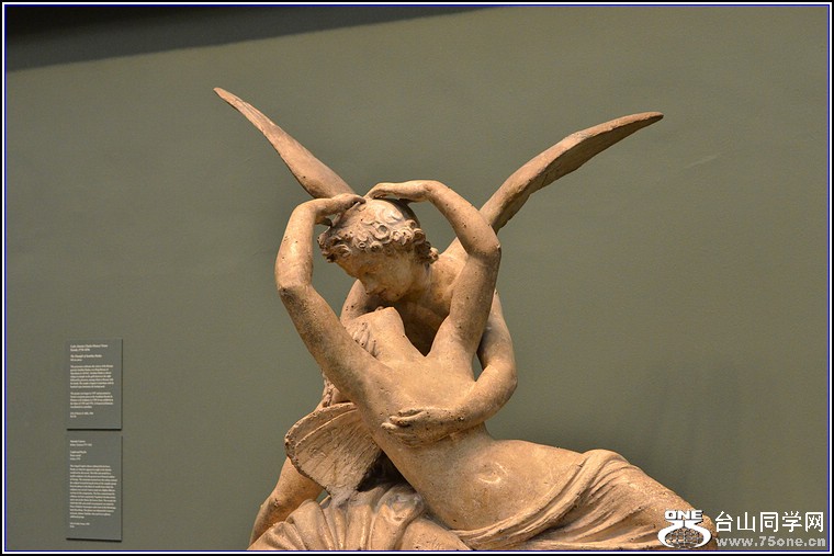 DSC_9839.jpg