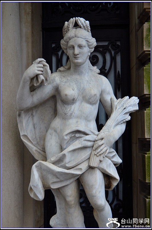 DSC_9616.jpg