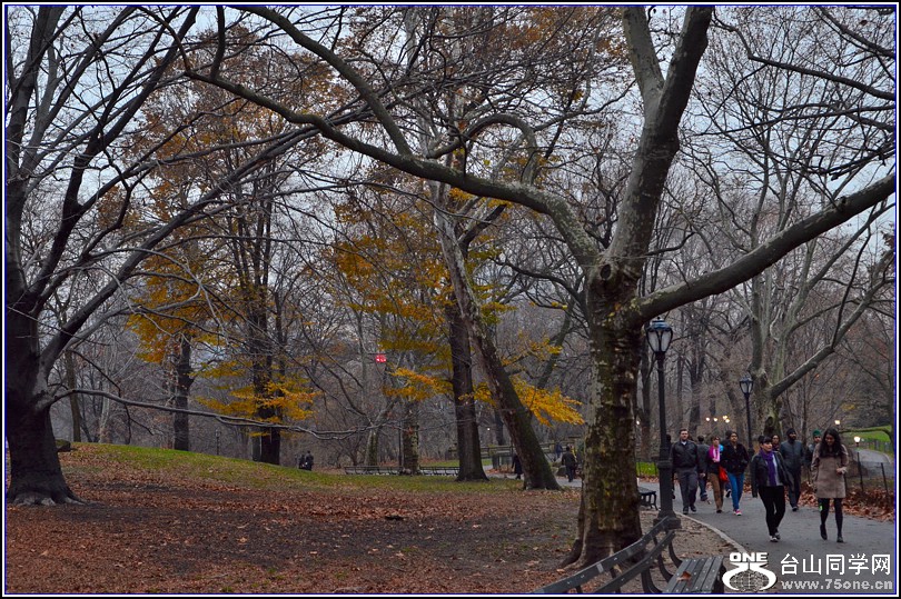 DSC_9870.jpg
