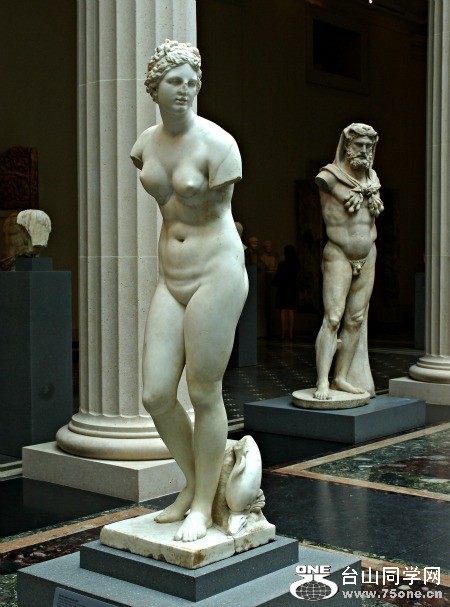 DSC_0961.jpg