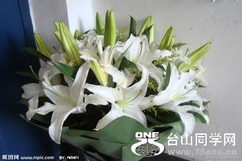 u=675035234,1040585717&amp;fm=23&amp;gp=0.jpg