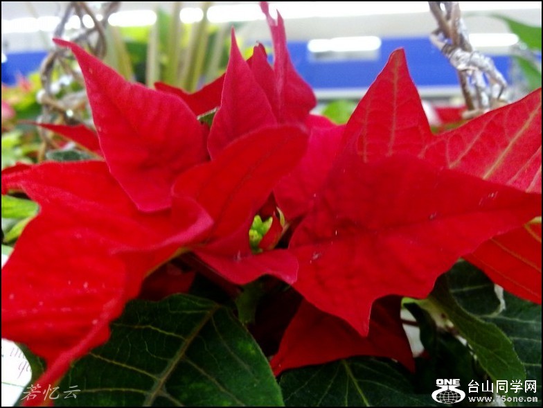 conew_201211201807_conew1.jpg