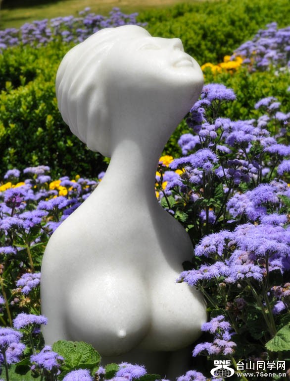 DSC_1405.jpg