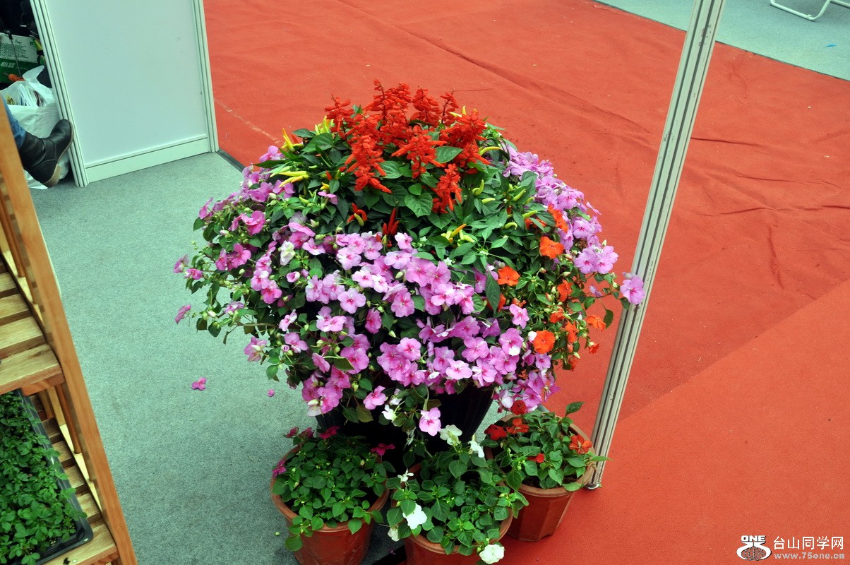 DSC_0015_exposure_С.JPG
