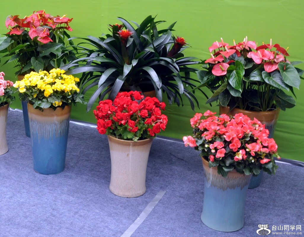 DSC_005_exposure_С.jpg